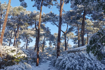 ANM au CHM de Montalivet sous la neige